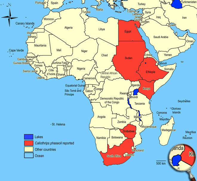 Distibution Map Africa